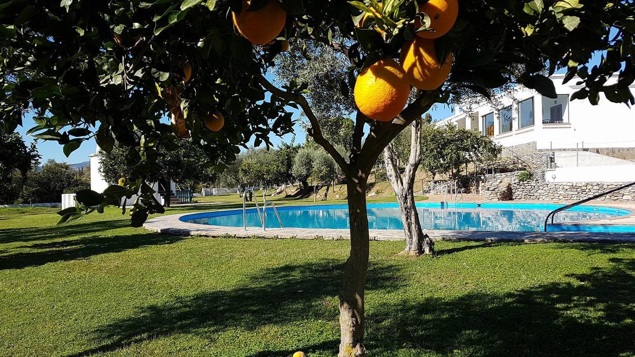 Taray Botanico Orgiva